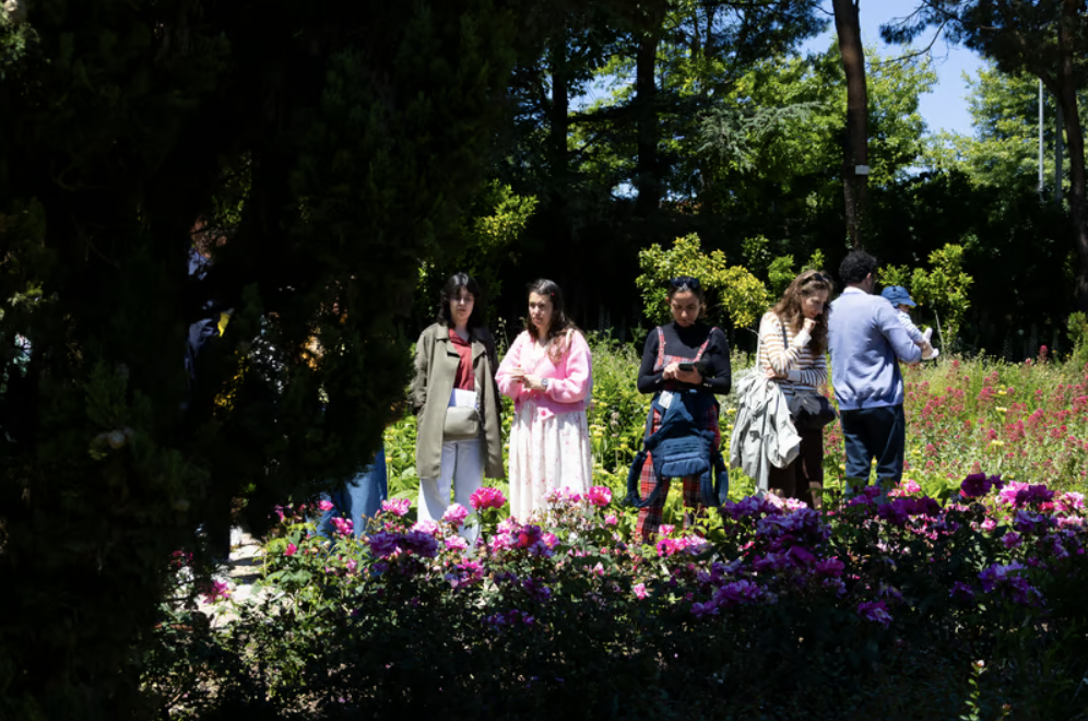 CIÊNCIA EM FAMÍLIA | A ALQUIMIA DAS AROMÁTICAS — event image